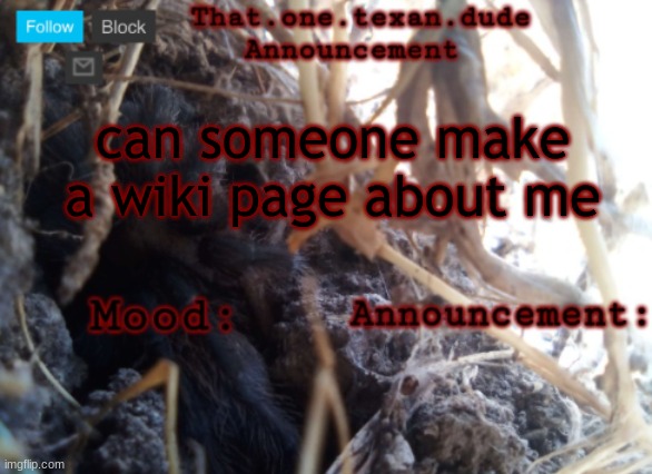 THE that.one.texan.dude announcement template | can someone make a wiki page about me | image tagged in the that one texan dude announcement template | made w/ Imgflip meme maker