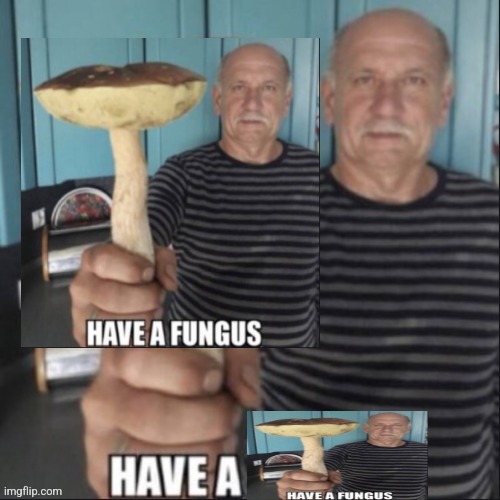 boletes my beloved | made w/ Imgflip meme maker