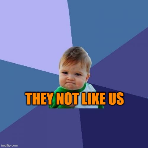 Success Kid | THEY NOT LIKE US | image tagged in memes,success kid | made w/ Imgflip meme maker