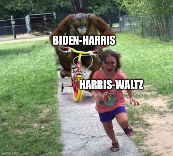 No escape | BIDEN-HARRIS; HARRIS-WALTZ | image tagged in run | made w/ Imgflip meme maker