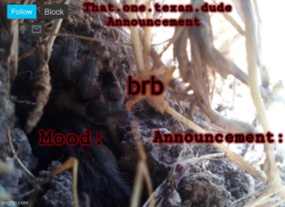 THE that.one.texan.dude announcement template | brb | image tagged in the that one texan dude announcement template | made w/ Imgflip meme maker