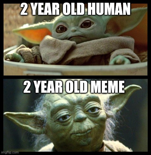 Will this get upvotes? I guess I'll find out! | 2 YEAR OLD HUMAN; 2 YEAR OLD MEME | image tagged in baby vs old yoda,lion being yeeted | made w/ Imgflip meme maker