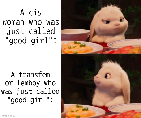 Can be an insult or compliment depending on context. | A cis woman who was just called "good girl":; A transfem or femboy who was just called
"good girl": | image tagged in blank white template,mad then happy bunny,phrases,language,lgbt,psychology | made w/ Imgflip meme maker