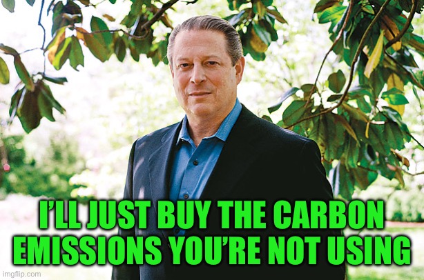 Al Gore Statue | I’LL JUST BUY THE CARBON EMISSIONS YOU’RE NOT USING | image tagged in al gore statue | made w/ Imgflip meme maker