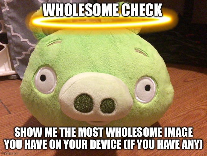 test | WHOLESOME CHECK; SHOW ME THE MOST WHOLESOME IMAGE YOU HAVE ON YOUR DEVICE (IF YOU HAVE ANY) | image tagged in bad piggy | made w/ Imgflip meme maker