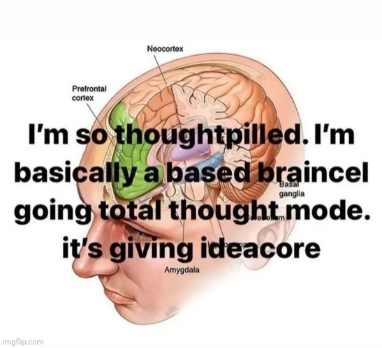 Based braincel | made w/ Imgflip meme maker