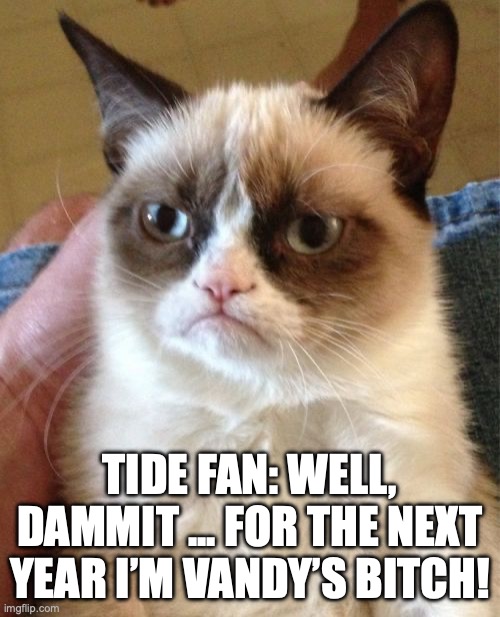 Grumpy Cat | TIDE FAN: WELL, DAMMIT ... FOR THE NEXT YEAR I’M VANDY’S BITCH! | image tagged in memes,grumpy cat,bama football,vandy football | made w/ Imgflip meme maker