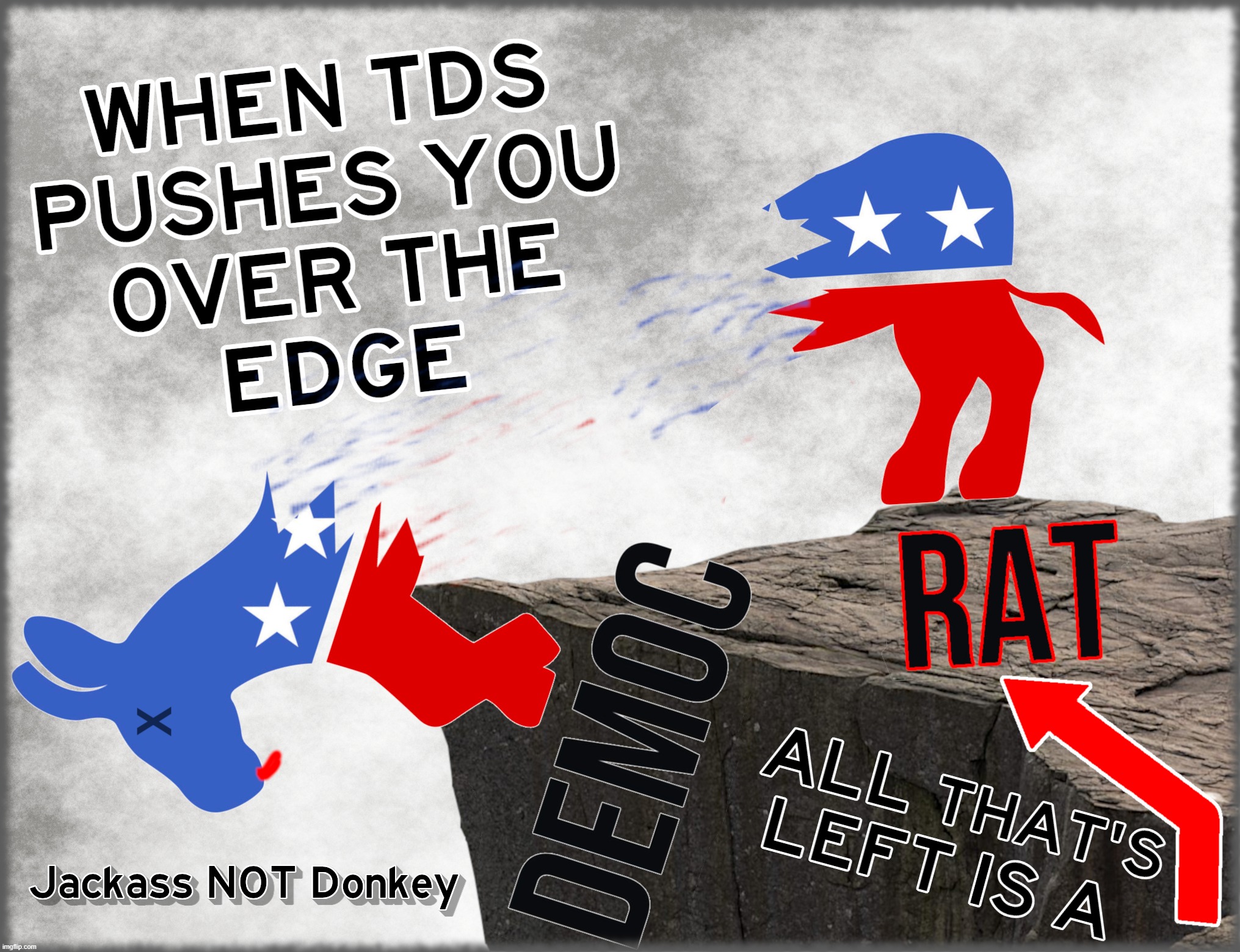 WHEN TDS PUSHES YOU ... | image tagged in tds,jackass,rat,edge,cliff,deranged | made w/ Imgflip meme maker