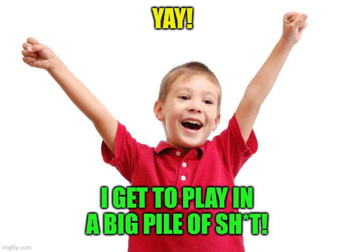 Happy kid | YAY! I GET TO PLAY IN A BIG PILE OF SH*T! | image tagged in happy kid | made w/ Imgflip meme maker