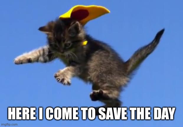 Superhero Cat | HERE I COME TO SAVE THE DAY | image tagged in superhero cat | made w/ Imgflip meme maker