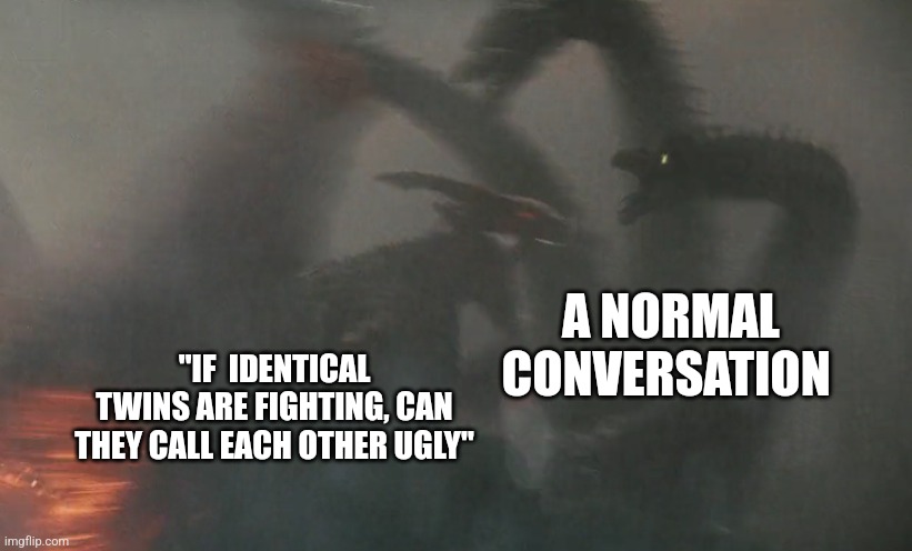 Hmmmm | A NORMAL CONVERSATION; "IF  IDENTICAL TWINS ARE FIGHTING, CAN THEY CALL EACH OTHER UGLY" | image tagged in rodan attacks ghidorah | made w/ Imgflip meme maker