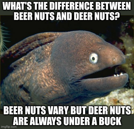 Bad Joke Eel Meme | WHAT'S THE DIFFERENCE BETWEEN
BEER NUTS AND DEER NUTS? BEER NUTS VARY BUT DEER NUTS
ARE ALWAYS UNDER A BUCK | image tagged in memes,bad joke eel | made w/ Imgflip meme maker