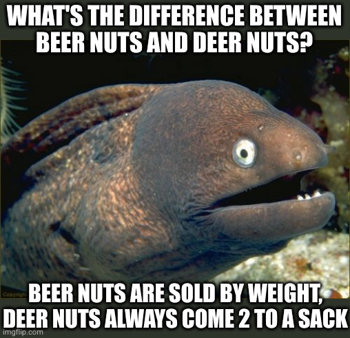 Bad Joke Eel | WHAT'S THE DIFFERENCE BETWEEN
BEER NUTS AND DEER NUTS? BEER NUTS ARE SOLD BY WEIGHT, DEER NUTS ALWAYS COME 2 TO A SACK | image tagged in memes,bad joke eel | made w/ Imgflip meme maker