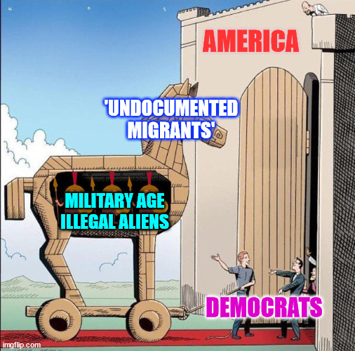 democrats...  creating a one party system for America | 'UNDOCUMENTED MIGRANTS' MILITARY AGE ILLEGAL ALIENS AMERICA DEMOCRATS | image tagged in trojan horse,democrats,want to destroy america | made w/ Imgflip meme maker