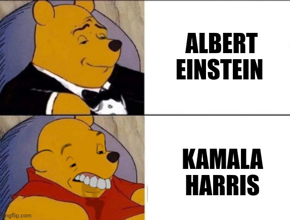 Classy and dumb pooh | ALBERT EINSTEIN KAMALA HARRIS | image tagged in classy and dumb pooh | made w/ Imgflip meme maker