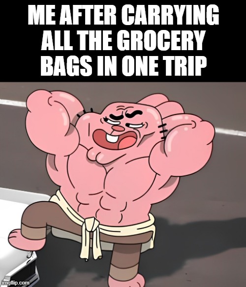 grocery bags | ME AFTER CARRYING ALL THE GROCERY BAGS IN ONE TRIP | image tagged in memes | made w/ Imgflip meme maker