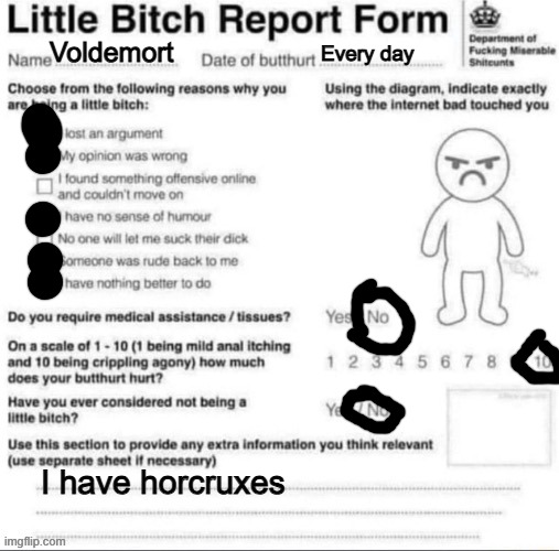 Little bitch report form | Voldemort; Every day; I have horcruxes | image tagged in little bitch report form | made w/ Imgflip meme maker