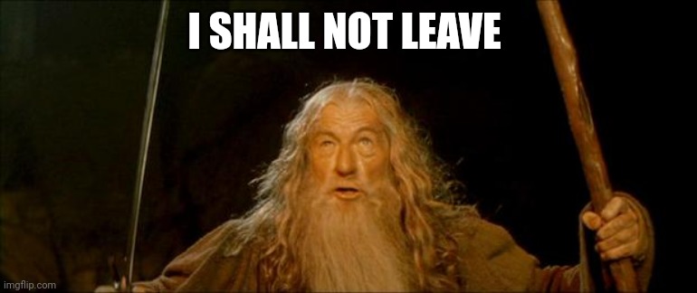 gandalf you shall not pass | I SHALL NOT LEAVE | image tagged in gandalf you shall not pass | made w/ Imgflip meme maker