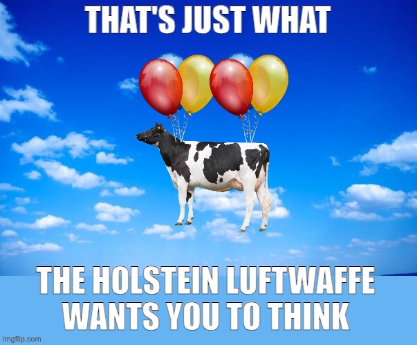 blue sky | THAT'S JUST WHAT THE HOLSTEIN LUFTWAFFE
WANTS YOU TO THINK | image tagged in blue sky | made w/ Imgflip meme maker