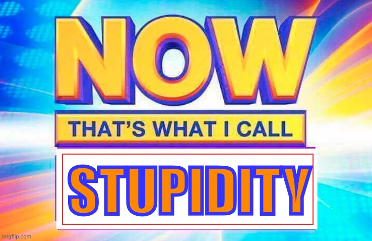 Now That’s What I Call | STUPIDITY | image tagged in now that s what i call | made w/ Imgflip meme maker