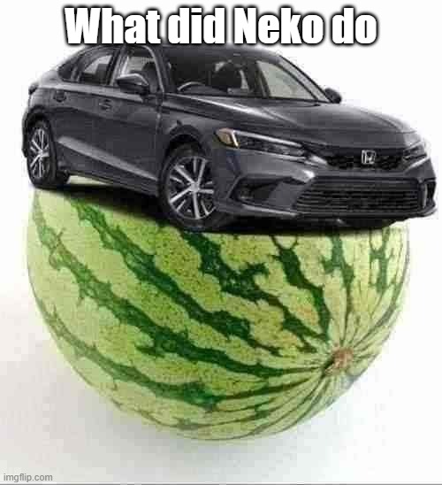 CivicMelon | What did Neko do | image tagged in civicmelon | made w/ Imgflip meme maker