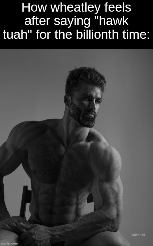 Slander pt9 | How wheatley feels after saying "hawk tuah" for the billionth time: | image tagged in giga chad | made w/ Imgflip meme maker