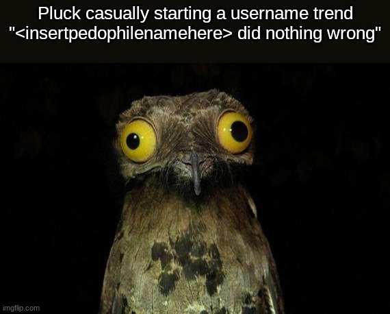 Slander pt10 | Pluck casually starting a username trend "<insertpedophilenamehere> did nothing wrong" | image tagged in memes,weird stuff i do potoo | made w/ Imgflip meme maker