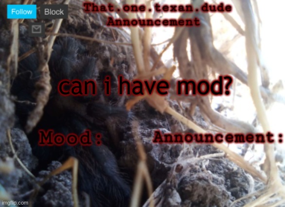 THE that.one.texan.dude announcement template | can i have mod? | image tagged in the that one texan dude announcement template | made w/ Imgflip meme maker