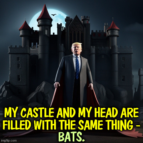 MY CASTLE AND MY HEAD ARE FILLED WITH THE SAME THING -; BATS. | image tagged in trump,dracula,castle,head,bats | made w/ Imgflip meme maker