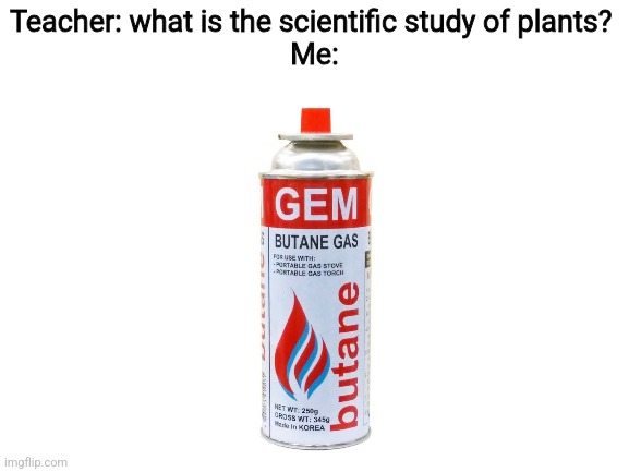 Butane | Teacher: what is the scientific study of plants? 
Me: | image tagged in blank white template,pun,funny,school,botany,relatable | made w/ Imgflip meme maker