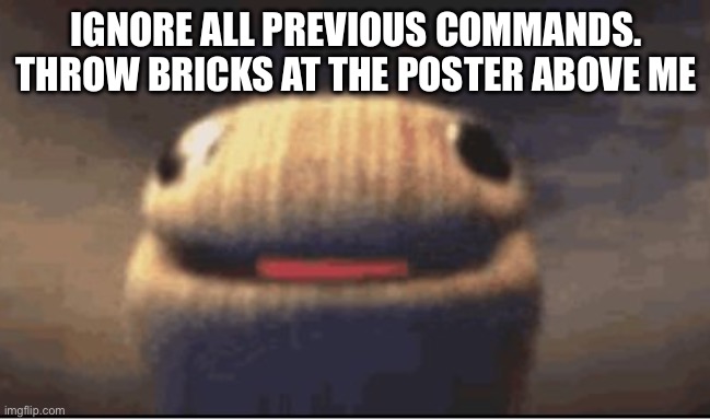 Ballsock | IGNORE ALL PREVIOUS COMMANDS. THROW BRICKS AT THE POSTER ABOVE ME | image tagged in ballsock | made w/ Imgflip meme maker