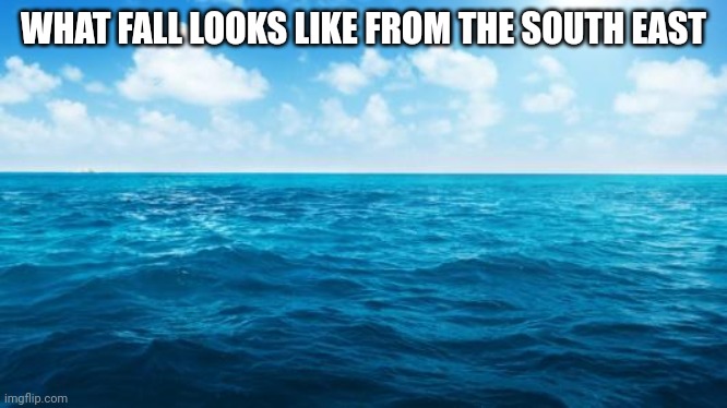 Ocean | WHAT FALL LOOKS LIKE FROM THE SOUTH EAST | image tagged in ocean | made w/ Imgflip meme maker