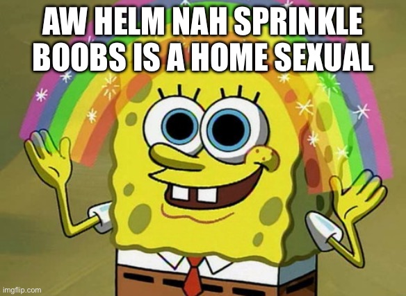 Imagination Spongebob Meme | AW HELM NAH SPRINKLE BOOBS IS A HOME SEXUAL | image tagged in memes,imagination spongebob | made w/ Imgflip meme maker