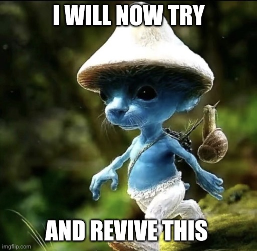 Why not? | I WILL NOW TRY; AND REVIVE THIS | image tagged in blue smurf cat,why not,its a thing,but wait there's more,why are you reading this,get outta here | made w/ Imgflip meme maker