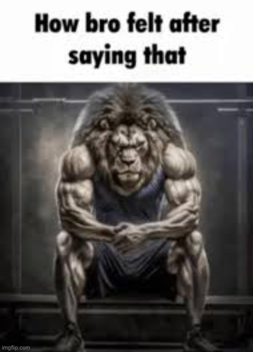 How bro felt after saying that | image tagged in how bro felt after saying that | made w/ Imgflip meme maker