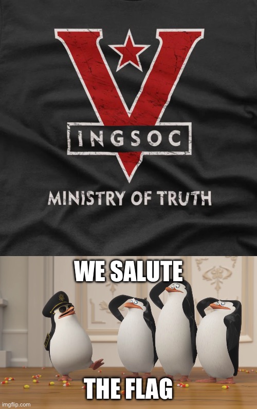 Salute the flag | WE SALUTE; THE FLAG | image tagged in saluting skipper,flag | made w/ Imgflip meme maker