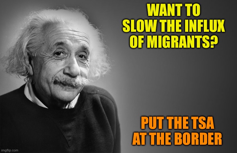 albert einstein quotes | WANT TO SLOW THE INFLUX OF MIGRANTS? PUT THE TSA AT THE BORDER | image tagged in albert einstein quotes | made w/ Imgflip meme maker