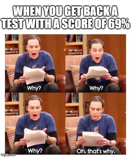 sheldon | WHEN YOU GET BACK A TEST WITH A SCORE OF 69% | image tagged in sheldon | made w/ Imgflip meme maker