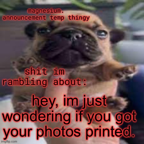 pug temp | hey, im just wondering if you got your photos printed. | image tagged in pug temp | made w/ Imgflip meme maker