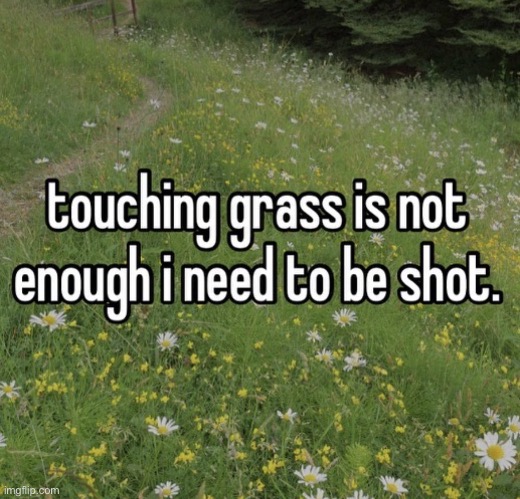 touching grass is not enough | image tagged in touching grass is not enough | made w/ Imgflip meme maker