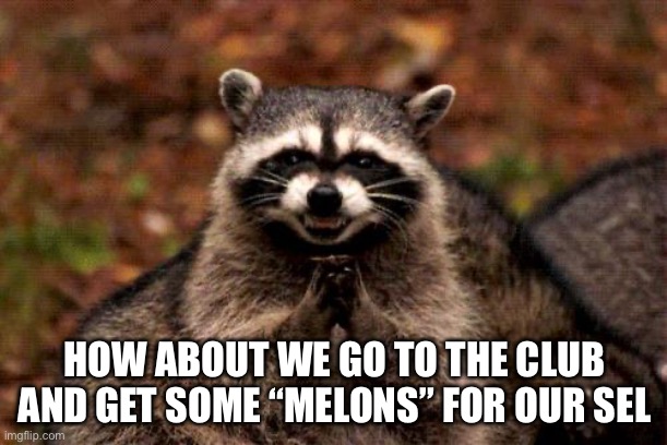 Evil Plotting Raccoon Meme | HOW ABOUT WE GO TO THE CLUB AND GET SOME “MELONS” FOR OUR SELVES | image tagged in memes,evil plotting raccoon | made w/ Imgflip meme maker