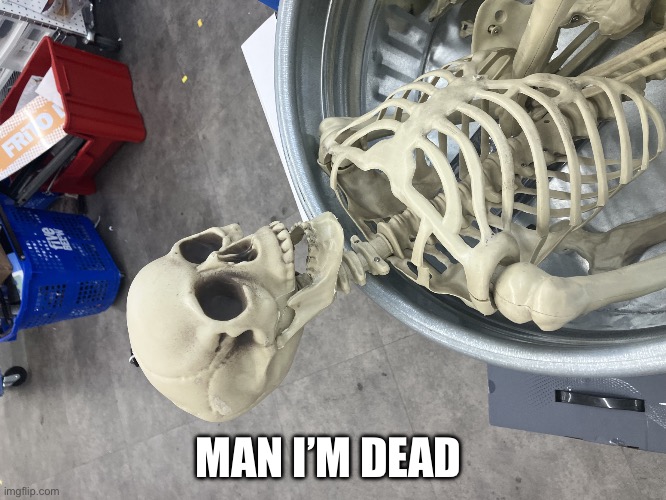 Man I’m Dead | MAN I’M DEAD | image tagged in man i m dead | made w/ Imgflip meme maker