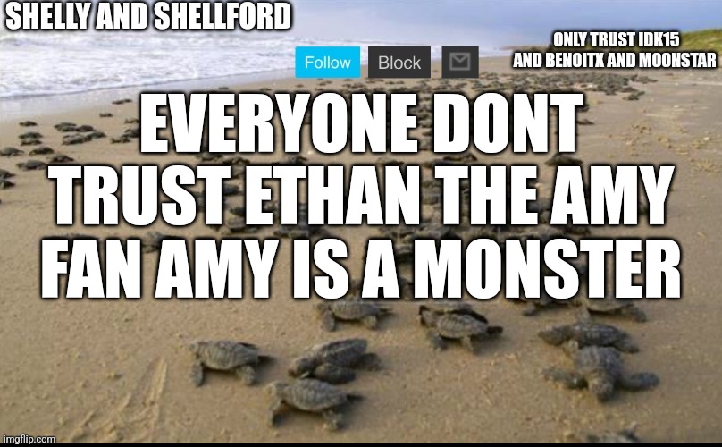 I like turtles | EVERYONE DONT TRUST ETHAN THE AMY FAN AMY IS A MONSTER | image tagged in i like turtles | made w/ Imgflip meme maker