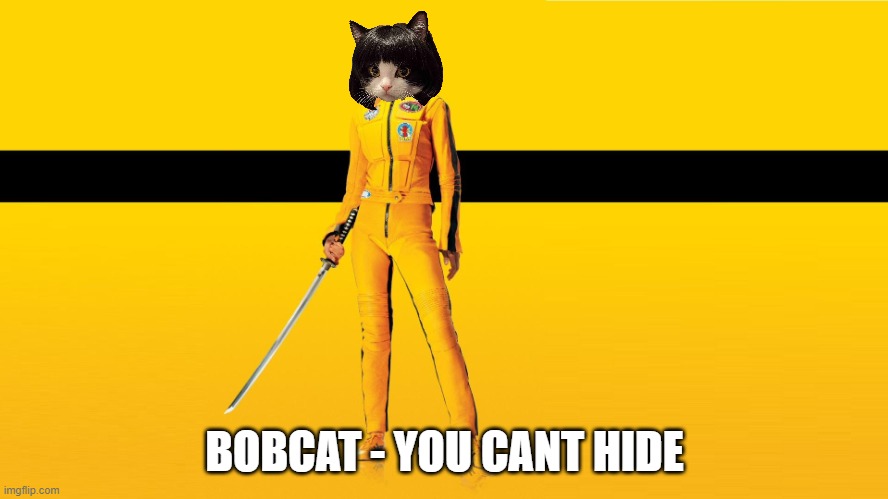 Bobcat | BOBCAT - YOU CANT HIDE | image tagged in kill bill uma thurman | made w/ Imgflip meme maker