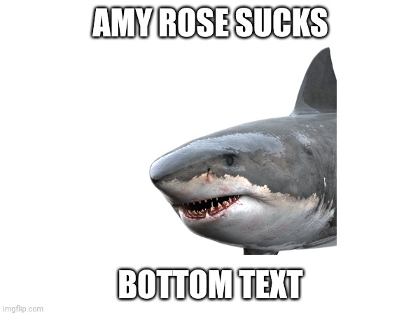 AMY ROSE SUCKS; BOTTOM TEXT | image tagged in ethan | made w/ Imgflip meme maker