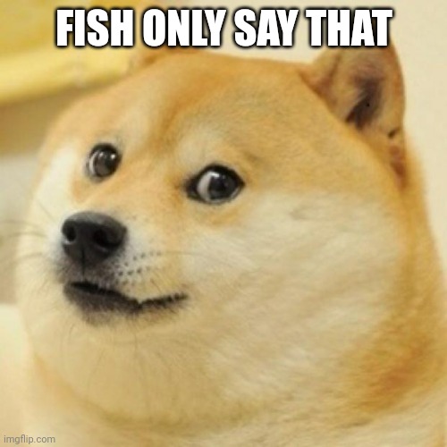 wow doge | FISH ONLY SAY THAT | image tagged in wow doge | made w/ Imgflip meme maker