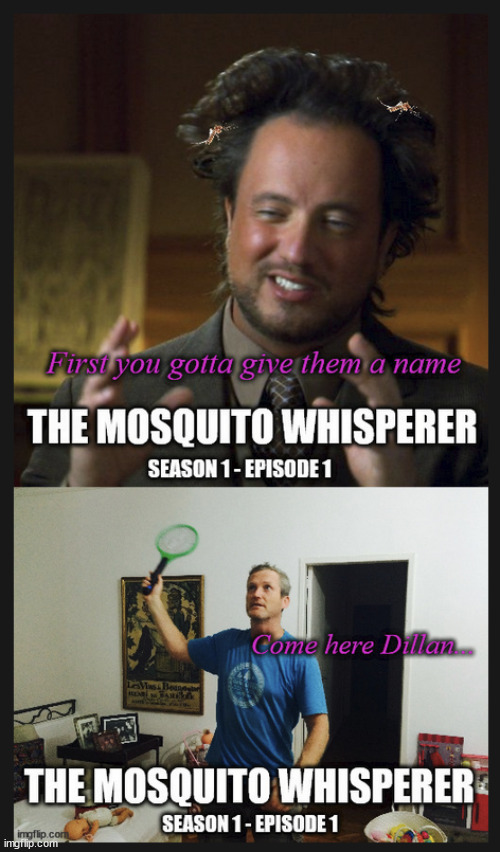 Out now "The Mosquito Whisperer" | image tagged in mosquito meme,mosquito whisperer meme,whisperer meme,telepathy meme | made w/ Imgflip meme maker