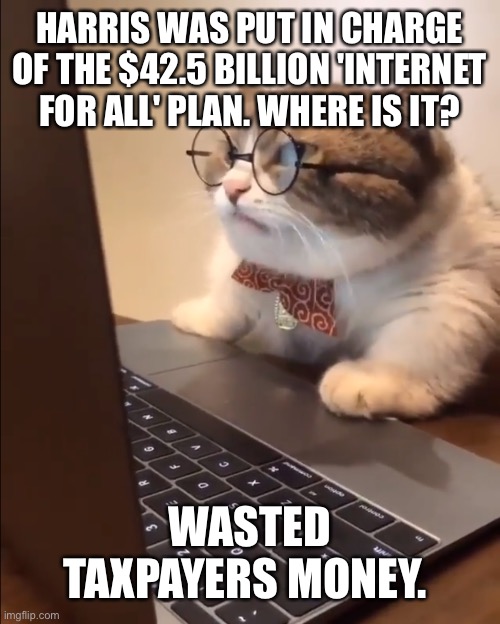 Wasted or stolen | HARRIS WAS PUT IN CHARGE OF THE $42.5 BILLION 'INTERNET FOR ALL' PLAN. WHERE IS IT? WASTED TAXPAYERS MONEY. | image tagged in research cat | made w/ Imgflip meme maker