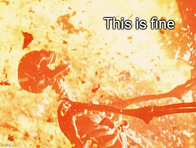 Fire skeleton | This is fine | image tagged in fire skeleton | made w/ Imgflip meme maker