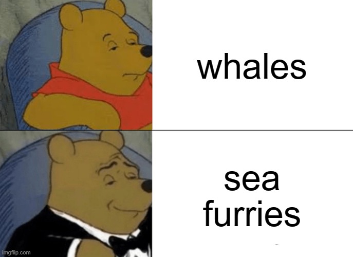 Tuxedo Winnie The Pooh Meme | whales; sea furries | image tagged in memes,tuxedo winnie the pooh | made w/ Imgflip meme maker